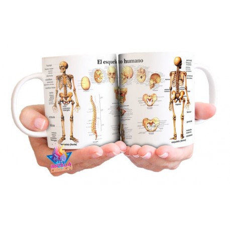 Taza Cerámica Esqueleto Cuerpo Humano Calavera Huesos