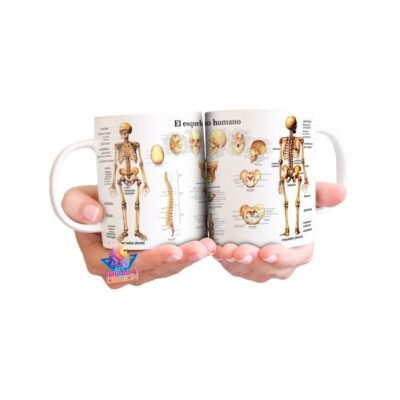 Taza Cerámica Esqueleto Cuerpo Humano Calavera Huesos