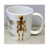 Taza Cerámica Esqueleto Cuerpo Humano Calavera Huesos