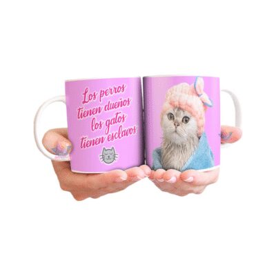 647271-MLA72368514216_102023,Taza Gato Relax Perro Dueño Esclavos Cerámica Spa Gatitos